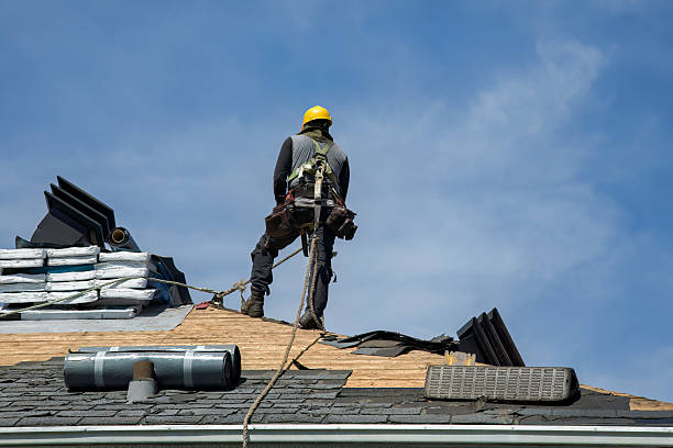 Professional Gutter Installation technician working in Linkwood, MD